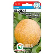 Дыня Евдокия 7 шт - фото 26067