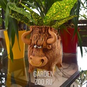 Кашпо Бык с кольцом 18см - фото 26128