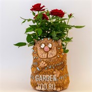 Кашпо Кот ученый 13*21см - фото 26139