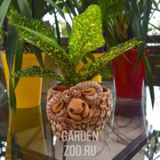 Кашпо Барашек для кактусов 10,5*7см 0,5л - фото 26141