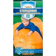 Тыква Стопудовая 1,0г - фото 26186