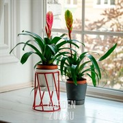 Подставка на 1 цветок Лофт на подоконник красная металл 66-605-Red - фото 26404