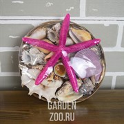 Набор Ракушек в Корзине №8 - фото 26511