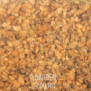 Корм Дафния для рыб 1л 210гр - фото 26532