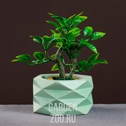 Кашпо РОМБЫ 0,15л зеленый - фото 27023