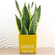 Горшок Квадро 3,3л медовый с вкладкой - фото 27119