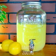 Диспенсер для напитков стеклянный 4л - фото 27452