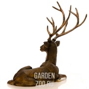 Фигура Олень с рогами лежит для сада и интерьера U08936 - фото 27505