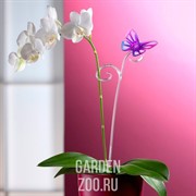 Держатель д/растенй Бабочка  Н-39см - фото 27648