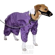 Комбинезон БАДИ болонь 611 (спаниель большой) - фото 27914