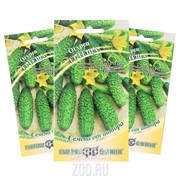 Семена Огурец Теща F1 10шт Гавриш - фото 28046