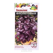 Базилик Фиолетовый 0,3г ХИТ - фото 28061