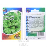 Салат Кучерявец Одесский 0,5г ХИТ - фото 28075