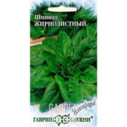 Шпинат Жирнолистный 1г - фото 28086