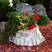 Кашпо садовое Пень берёзовый средний 75см U07450 - фото 28253