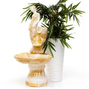 Фонтан с девушкой - фото 28279