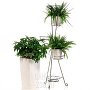 Подставка Классика 19-015 на 5 цветов - фото 28321