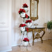 Подставка напольная Декор на 7 цветов высота 142см металл 18-007 - фото 28327 Подставка напольная Декор на 7 цветов высота 142см металл 18-007 - фото 28327
