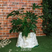 Кашпо Пень березовый большой - фото 28440