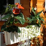 Подставка балконная с деревом 59-602 - фото 28498