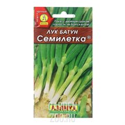 Лук батун Семилетка - фото 28828