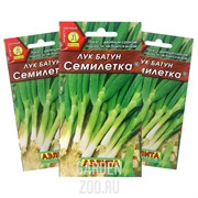 Лук батун Семилетка - фото 28829