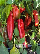 Перец Какаду 15шт - фото 29456