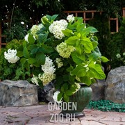 Вазон ребристый под бронзу US07959 - фото 29852