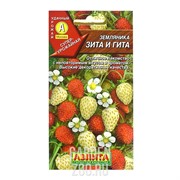 Земляника Зита и Гита - фото 30142