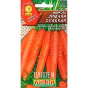 Морковь Сладкая зима - фото 30355