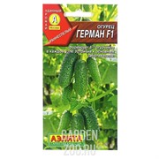 Огурец Герман F1 - фото 30379 Огурец Герман F1 - фото 30379