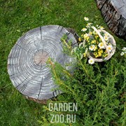 Крышка люка Пень маленький 60см стеклопластик U07697 - фото 31044