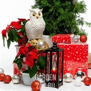 Кашпо садовое Филин полистоун F04043 - фото 31111