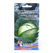 Капуста Б/К Чудо на засол F1 - фото 31281