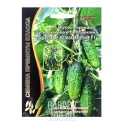 Огурец Пучковое великолепие F1 - фото 31297 Огурец Пучковое великолепие F1 - фото 31297