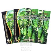 Огурец Пучковое великолепие F1 - фото 31298 Огурец Пучковое великолепие F1 - фото 31298