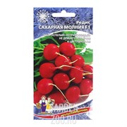 Редис Сахарная молния - фото 31323