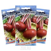 Свекла Сибирская плоская 167/367 - фото 31325