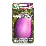 Баклажан Голубь сизокрылый 20шт - фото 31481