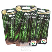 Кабачок Зебра 5 шт - фото 31508