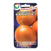 Лук Банко - фото 31537