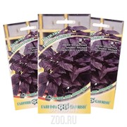 Базилик Робин-Бобин фиолетовый 0,1г - фото 31816