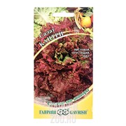 Салат Кантри 0,5г - фото 31860