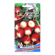 Редис Тепличный - фото 32080