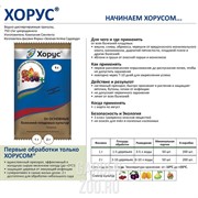 Хорус 2г препарат от болезней - фото 32617