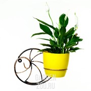 Цветочница настенная Улитка на 1 горшок 15см чёрно-золотая металл 96-004 - фото 33453