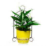 Подставка 96-007 настенная Клетка малая - фото 33456