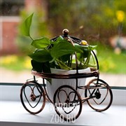 Подставка Карета на 1 цветок маленькая 51-308 - фото 33796 Подставка Карета на 1 цветок маленькая 51-308 - фото 33796