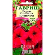 Петуния ампельная Лавина пурпурная 7шт - фото 34040