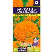 Бархатцы Марвел оранжевые 5шт - фото 34856